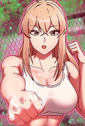 钢之炼金术师 封面